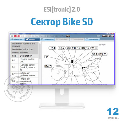 Сектор Bike SD: подписка на 12 мес.