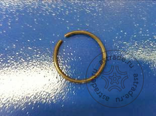 Retaining ring 30