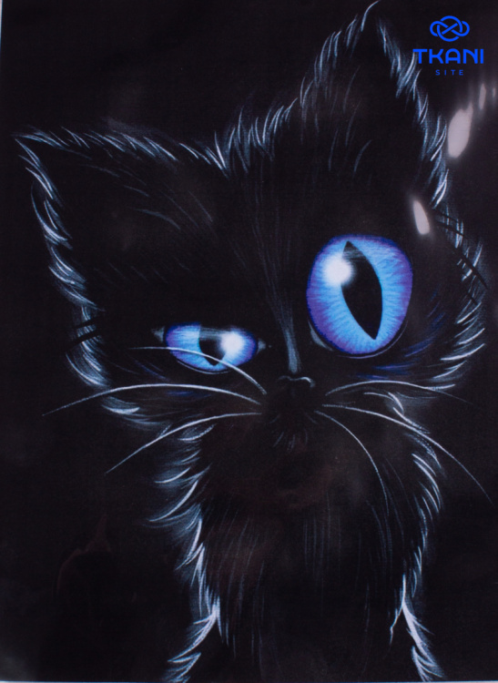 2431. Термотрансфер А-5