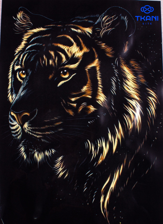 2432. Термотрансфер А-5