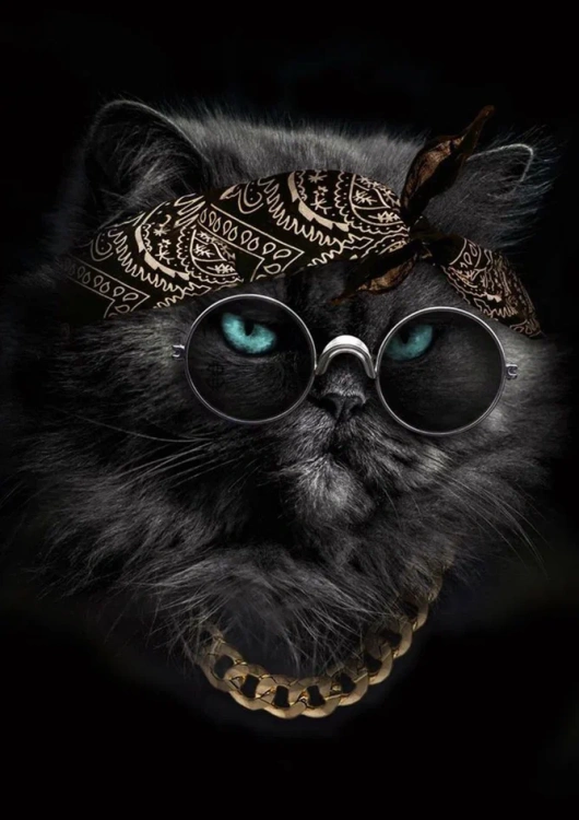 2985. Сублимация А3