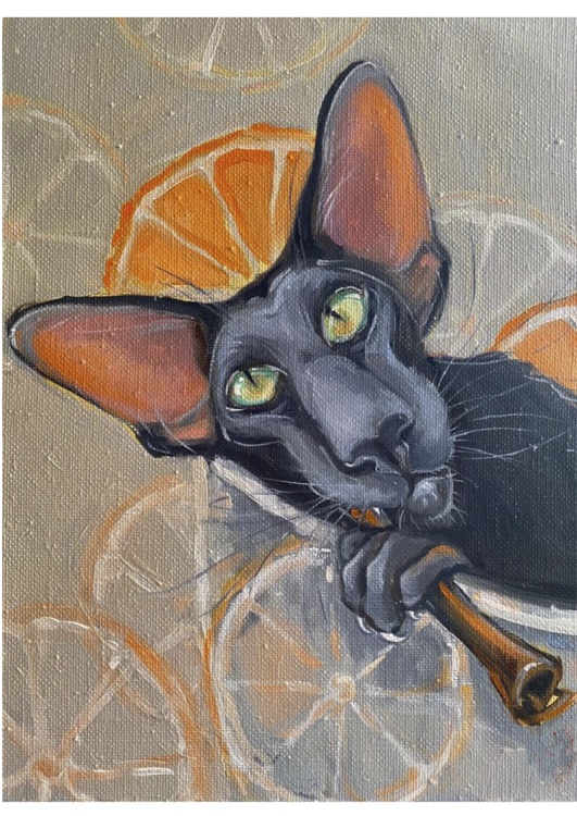 2990. Сублимация А3