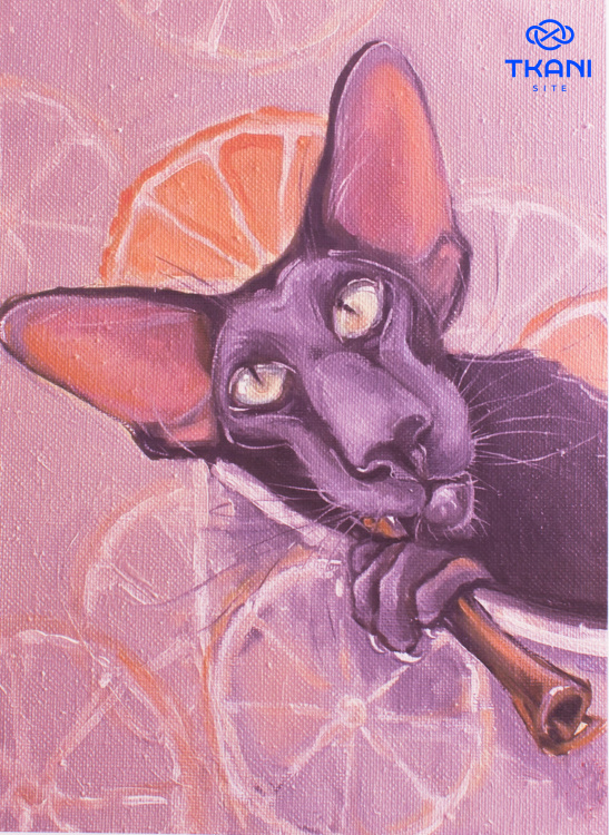 2990. Сублимация А3 - фото 1