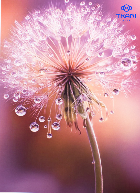 4010. Сублимация A4 - фото 1