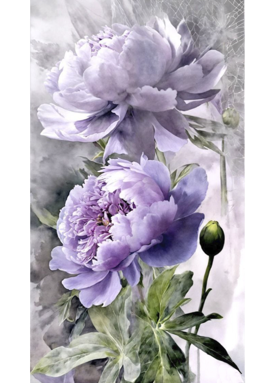 4016. Сублимация A4