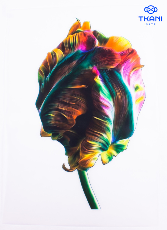 4029. Термотрансфер А-4