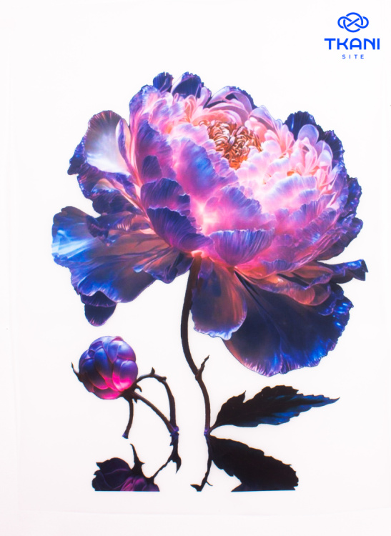 4161. Термотрансфер А-4