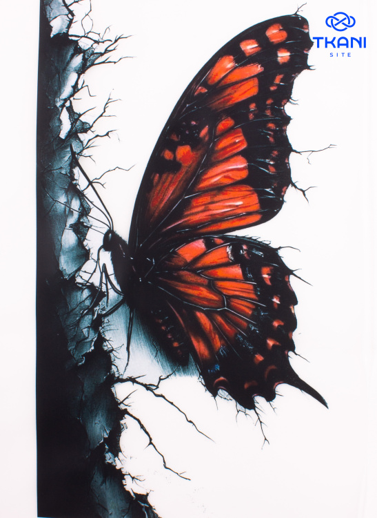 4164. Термотрансфер А-4 - фото 1