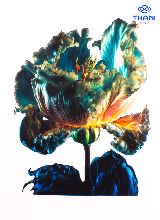 4165. Термотрансфер А-4 - фото 1