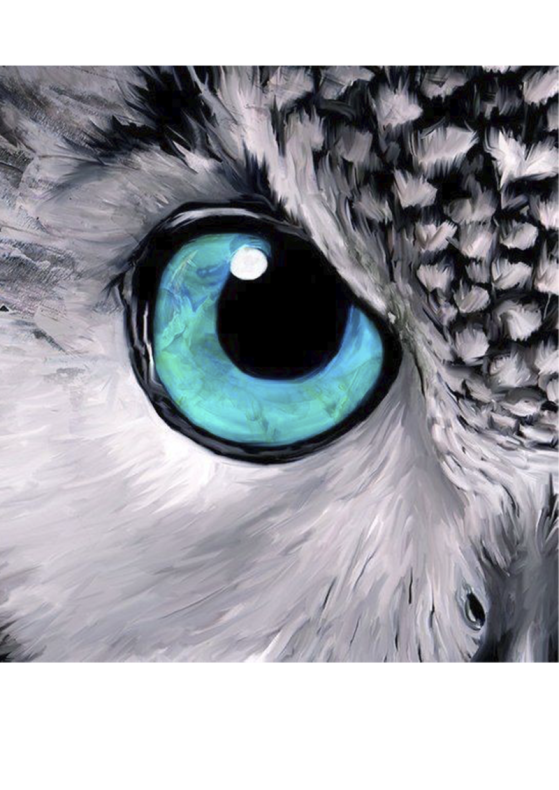 4655. Сублимация А3 от Tkani.site