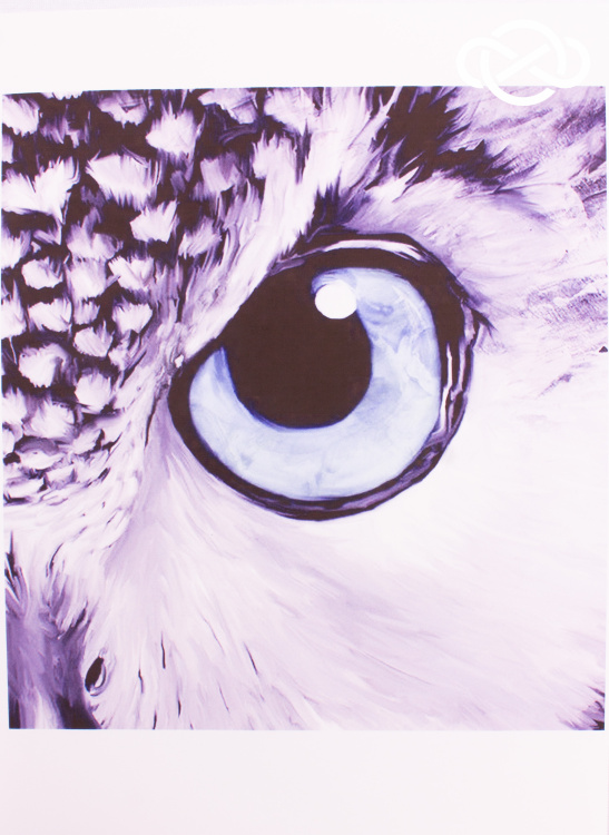 4655. Сублимация А3 - фото 1