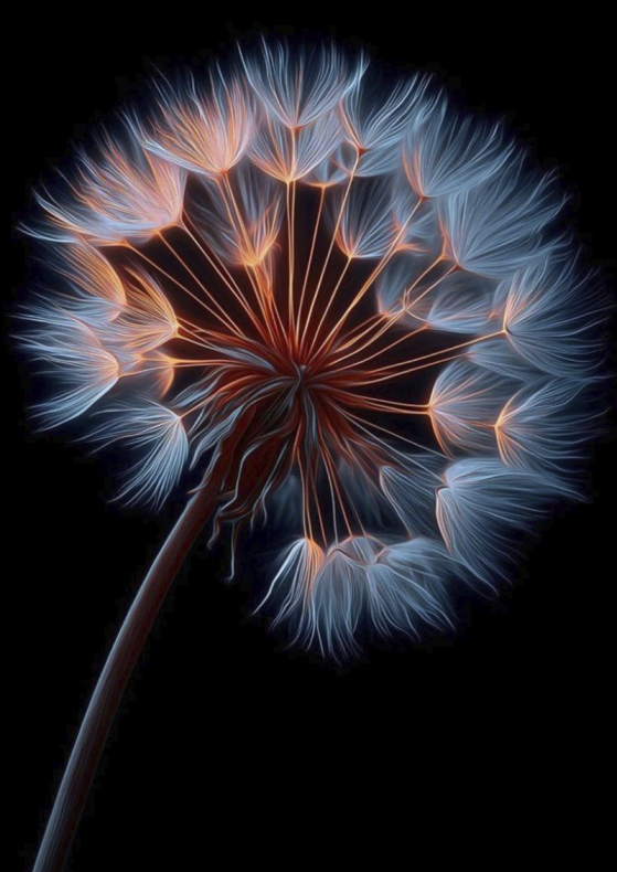 4657. Сублимация A4 от Tkani.site