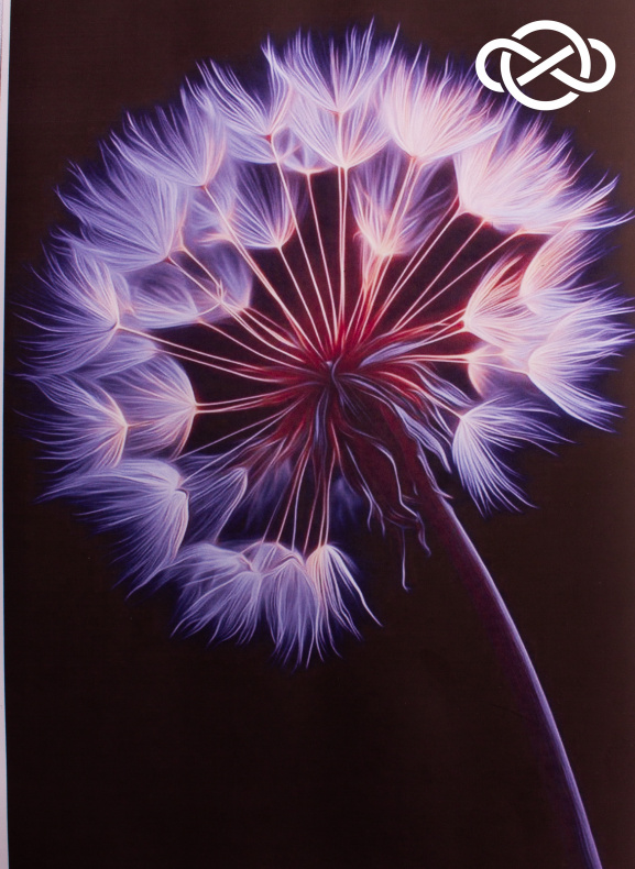 4657. Сублимация A4 от Tkani.site