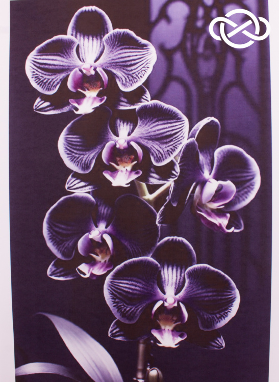 4658. Сублимация A4