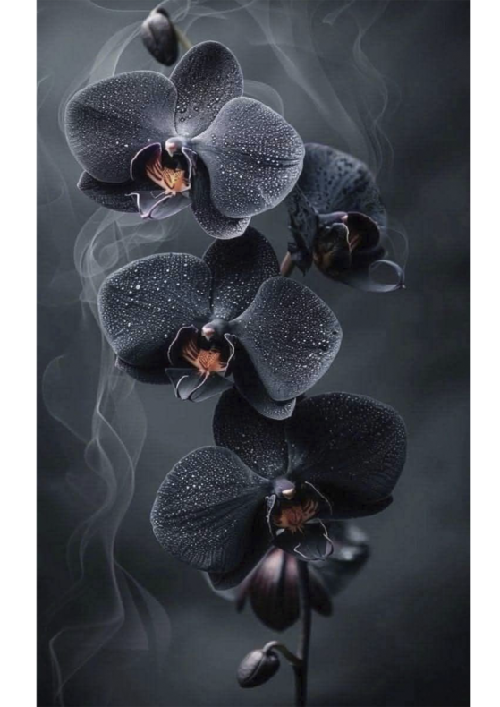 4660. Сублимация A4 от Tkani.site