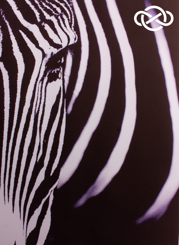 4661. Сублимация A4 от Tkani.site