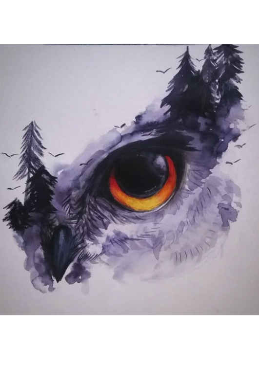 4666. Сублимация A4