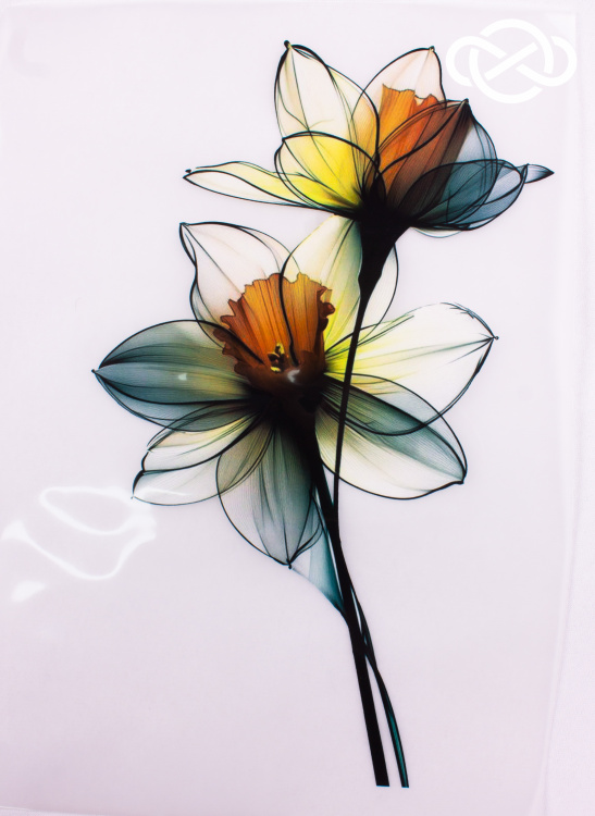 4703. Термотрансфер А-4 - фото 1