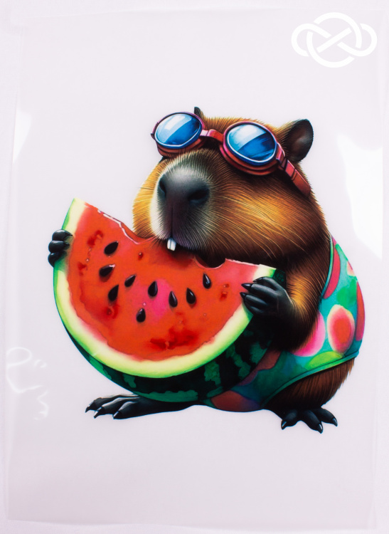 4709. Термотрансфер А-4 - фото 1