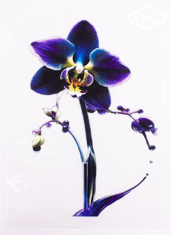 4713. Термотрансфер А-4 - фото 1