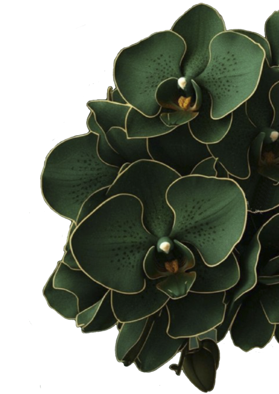 4718. Термотрансфер А-4 от Tkani.site