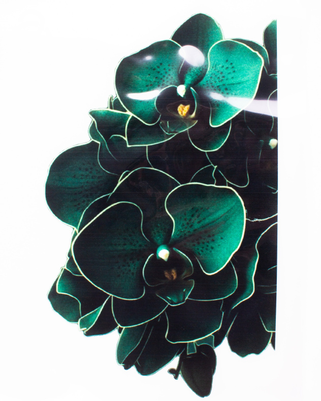 4718. Термотрансфер А-4 от Tkani.site