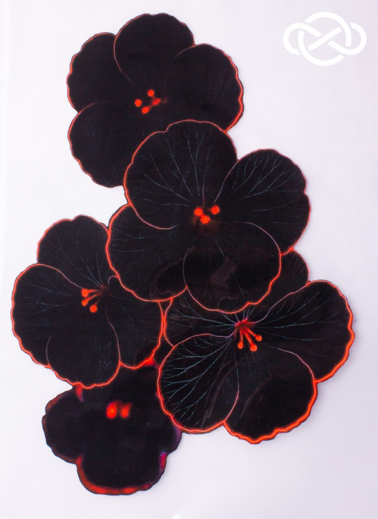 11091. Термотрансфер А-4 - фото 1