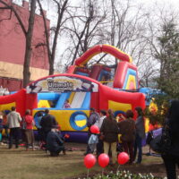 DSC05251