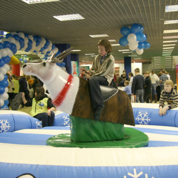 IMG 9705