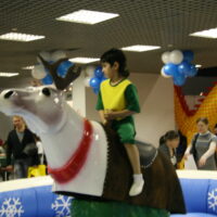 IMG 0062