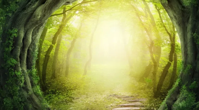 Повторюшка - дядя Хрюшка