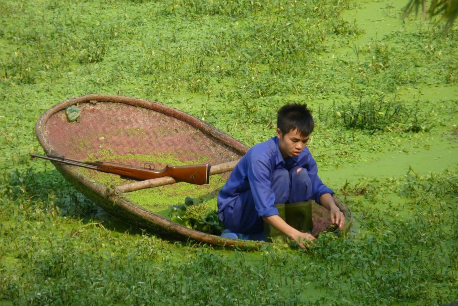 Неправильно ты нарисовал лошадь