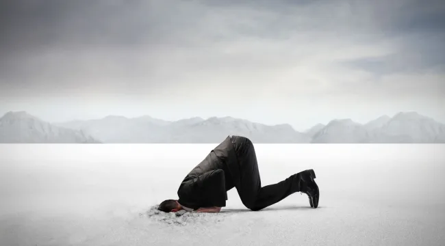 Забыл закрыть форточку