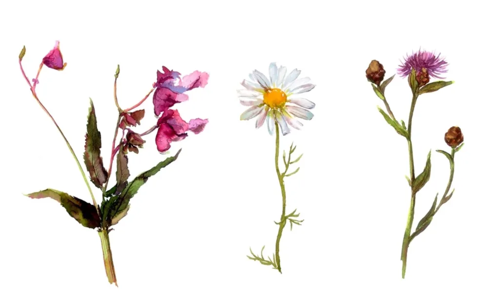 Нецветочковая благость