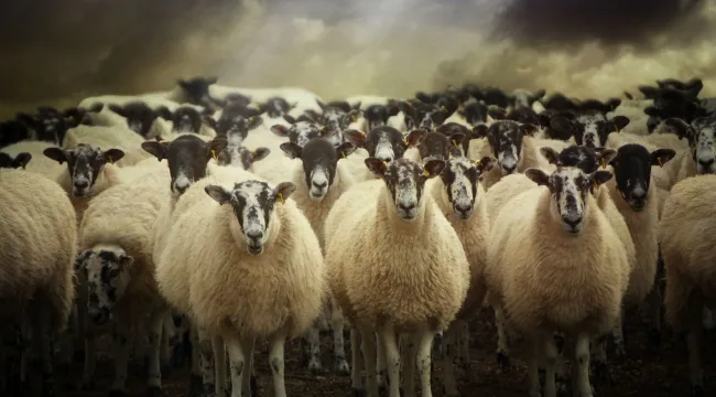 5 шаблонных примеров для проповеди, набивших всем оскомину