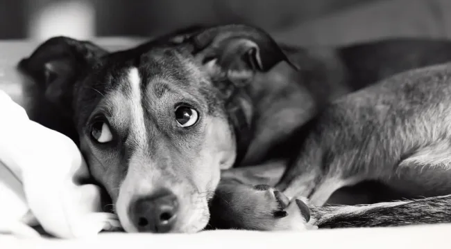 Прости меня!!