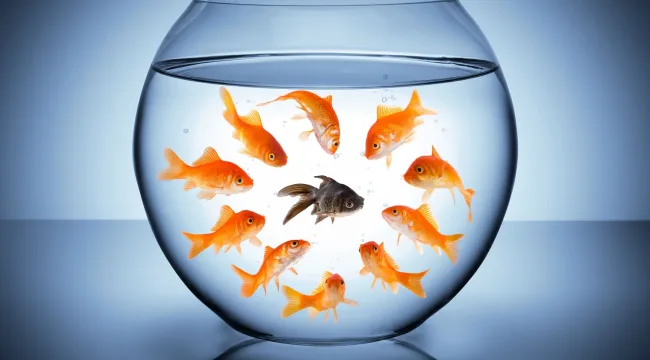 Принятие не равно одобрение