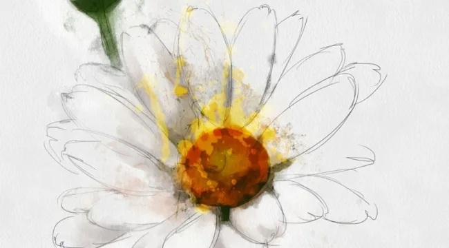 Мысли девушки о девушках для девушек в преддверии восьмого марта