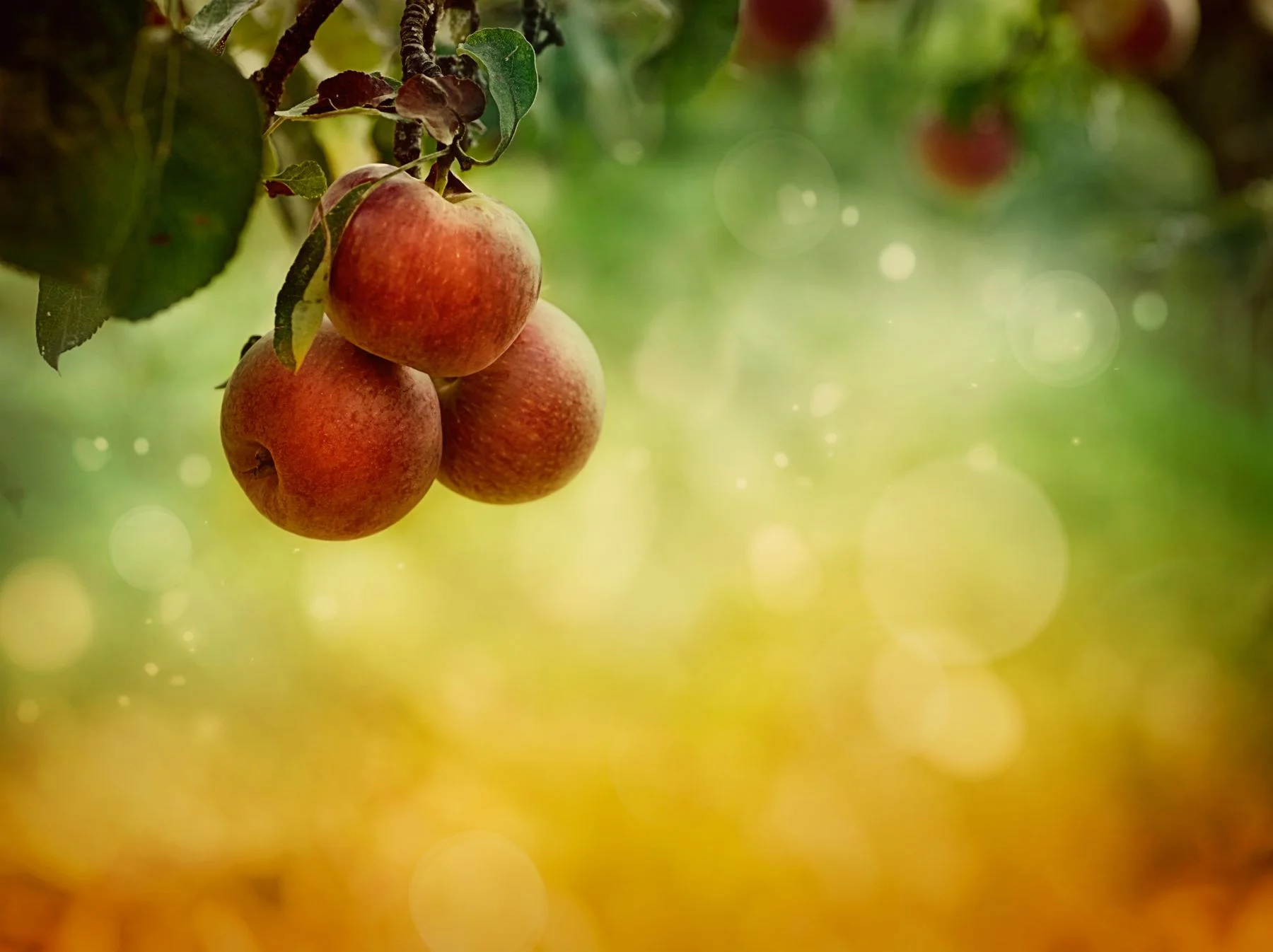 Когда Бог не отвечает