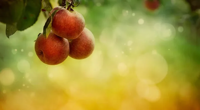 Когда Бог не отвечает