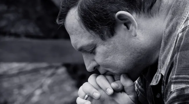 Признаки дружбы