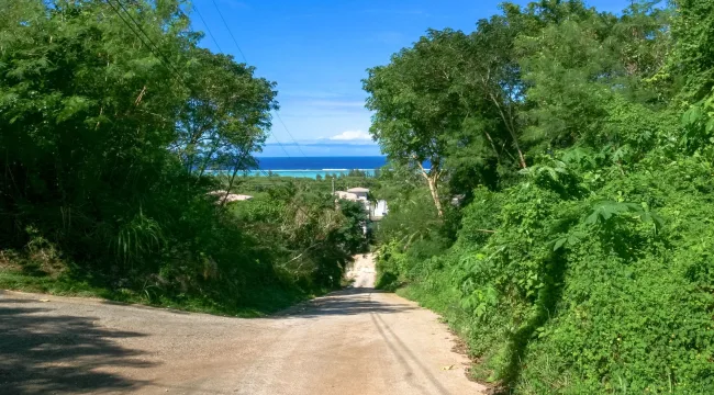 Сайпанские дневники. Наши соседи.