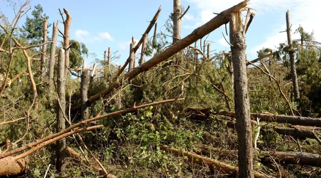Я сам себя починю