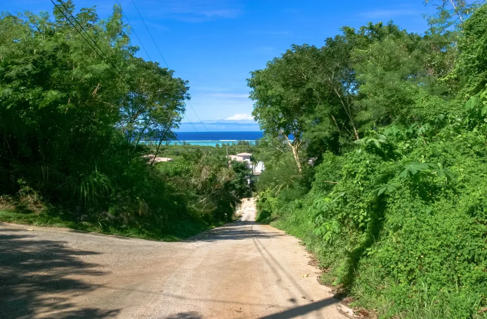 Сайпанские дневники. Наши соседи.