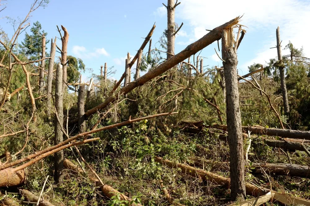 Я сам себя починю