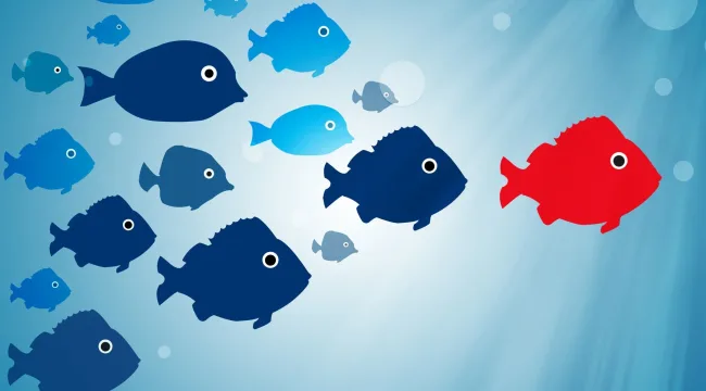 6 способов заслужить право вести людей за собой