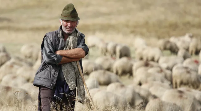 Никогда не говорите это пастору