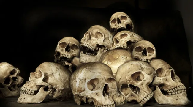 Найдены скелеты исполинов?