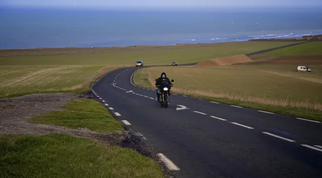 О чем умолчит лягушка-путешественница