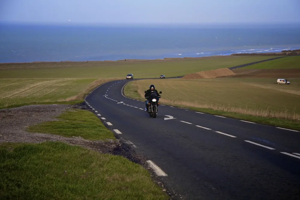 О чем умолчит лягушка-путешественница